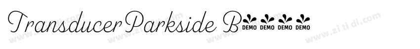 TransducerParkside B字体转换